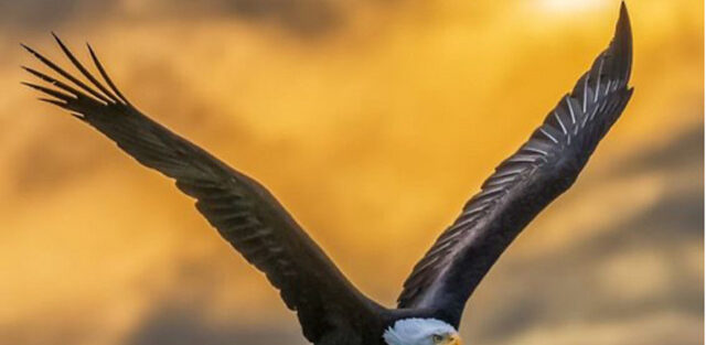 Podcast Episode - Realising your potential