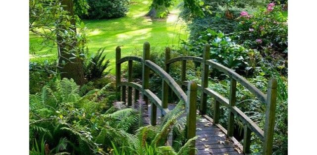 Interpersonal Relations