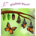 Podcast Episode: The Butterfly Story